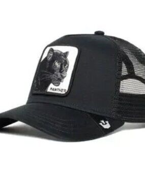 Goorin Bros Black Panther Hat